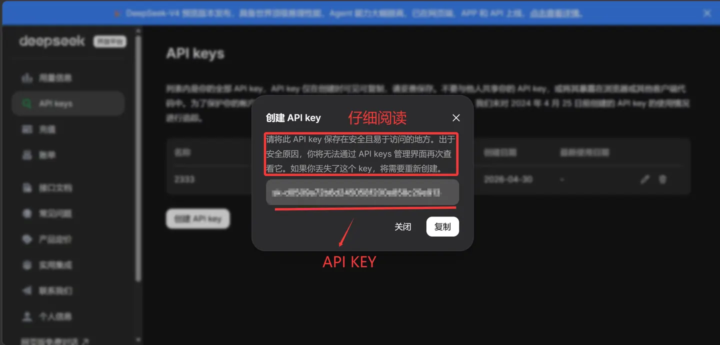 DeepSeek 复制 API Key