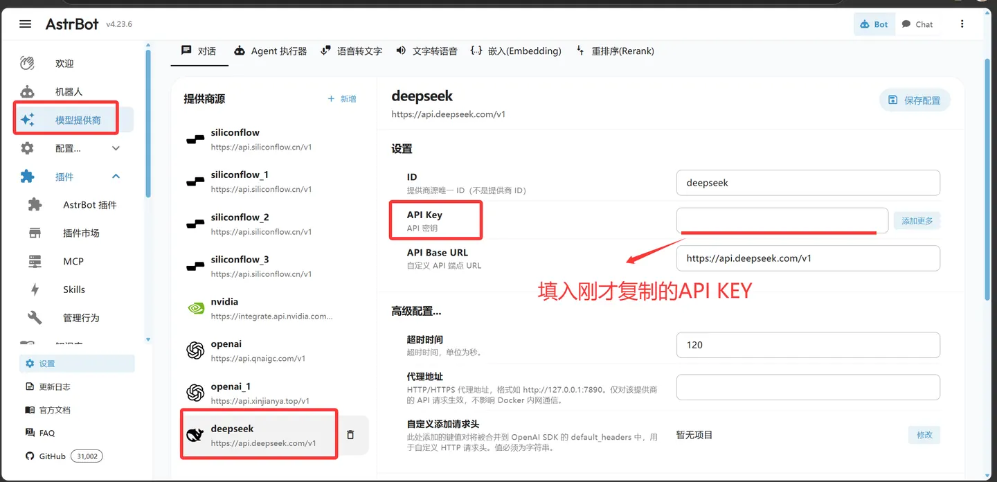 AstrBot 填入 API Key
